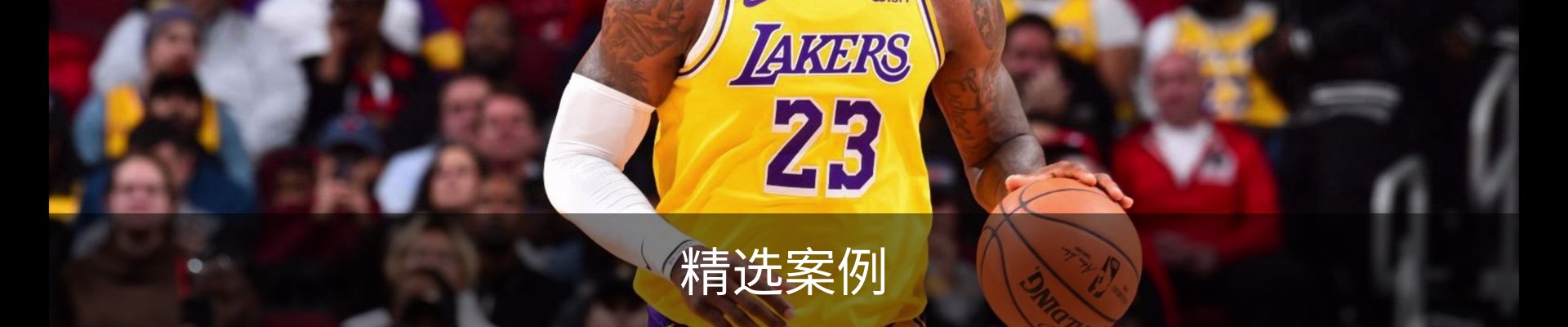 精选案例